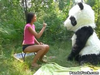 X oceniono wideo w the woods z za ogromny zabawka panda